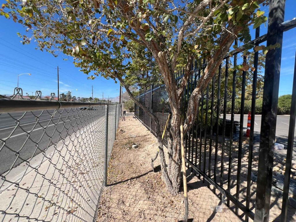 New Fence Construction Along Smoke Ranch Rd
